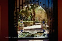 Image du Maroc Professionnelle de  Le Jardin Majorelle une pure merveille crée par le peintre français Jacques Majorelle, qui a eu le coup de foudre pour Marrakech. Yves Saint Laurent et Pierre Bergé font l’acquisition de ce havre de paix durant les années quatre-vingt où Yves Saint Laurent dessina plusieurs pièces. son voeux était de faire de ce parc une œuvre d’art vivante. On y découvre des plantes provenant des cinq continents, yuccas d’Océanie, lotus d’Asie, cactus d’Amérique, palmiers d’Afrique et cyprès d’Europe …, à Marrakech le Lundi 18 Août 1997. ((Photo / Abdeljalil Bounhar) 